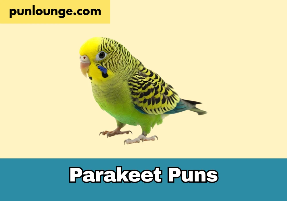 Parakeet puns