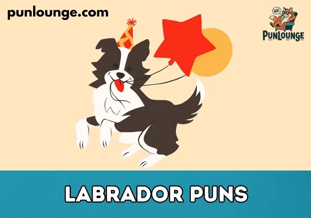 Cute Labrador Puns for Kids