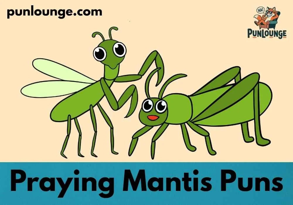 Cute Praying Mantis Puns for Kids