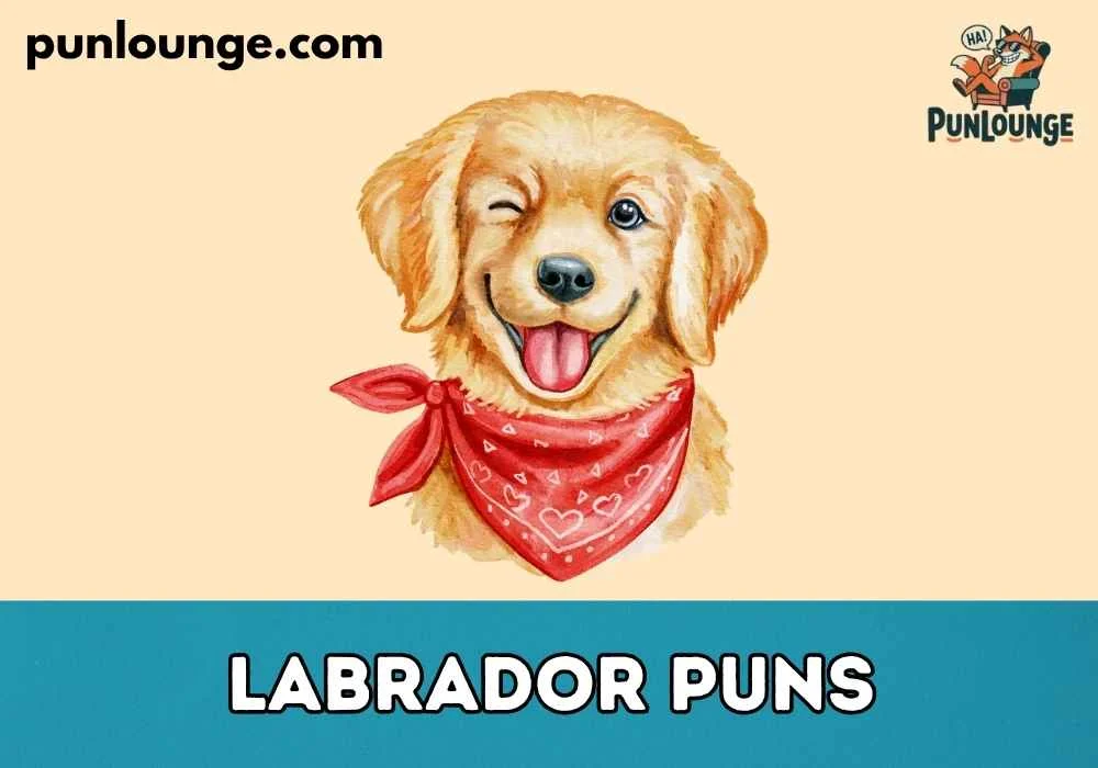 Funny Labrador Puns