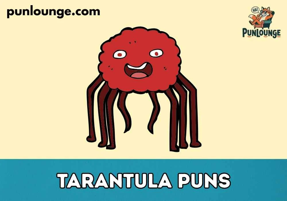 Funny Tarantula Puns
