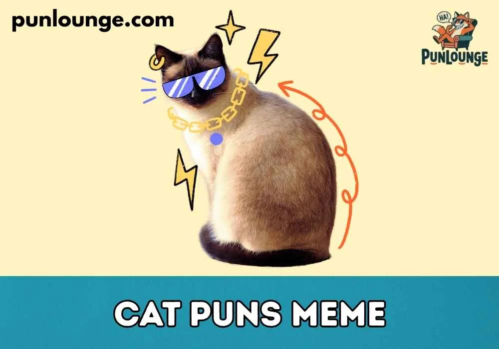 Short Cat Puns for Instagram