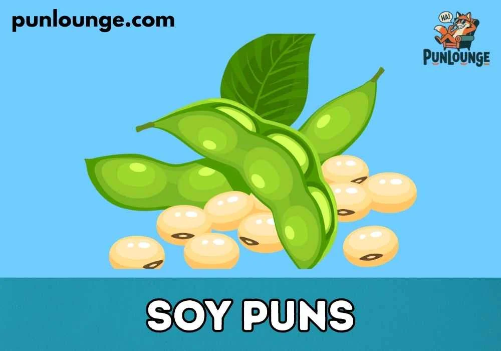 Short Soy Puns for Instagram