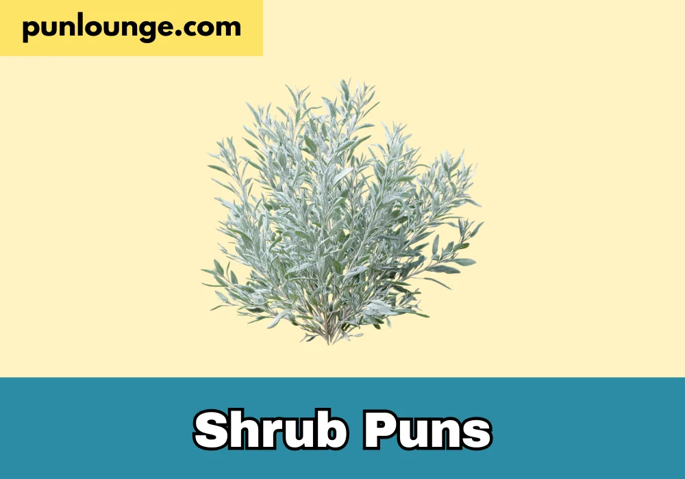 Shrub puns