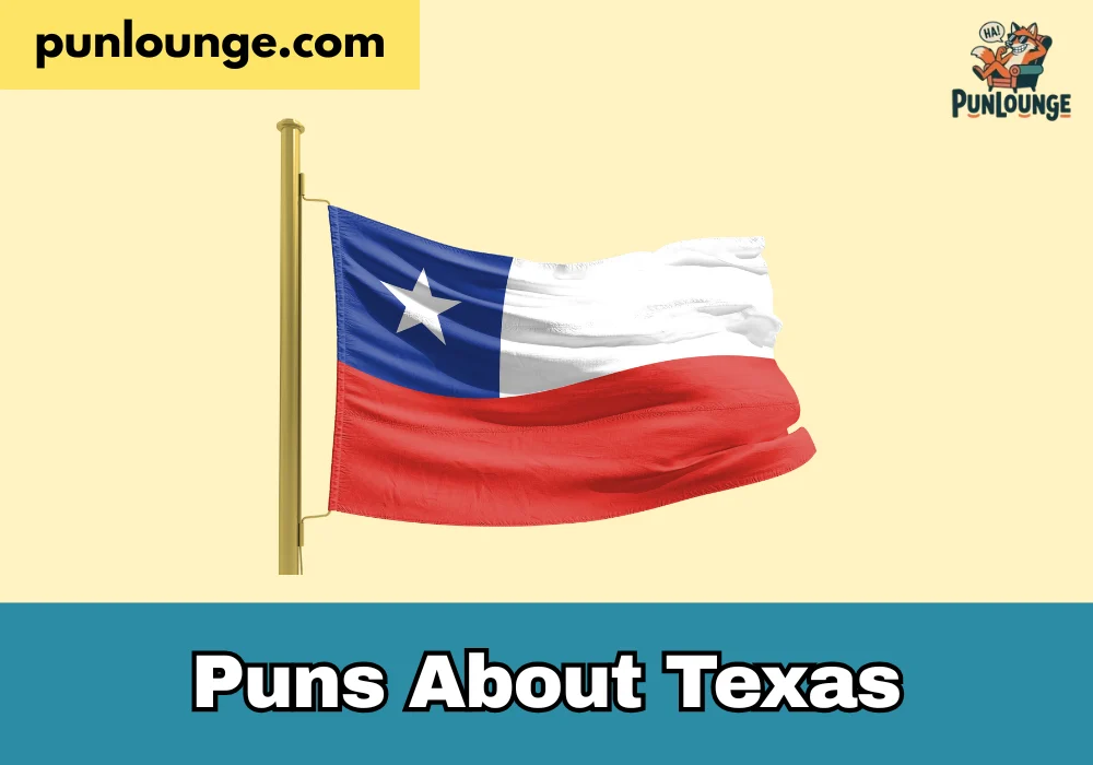 Puns About Texas
