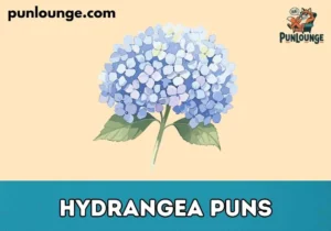 Hydrangea Puns