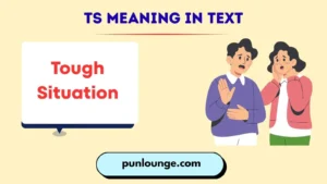 TS Meaning in Text