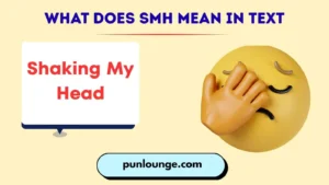What Does SMH Mean in Text